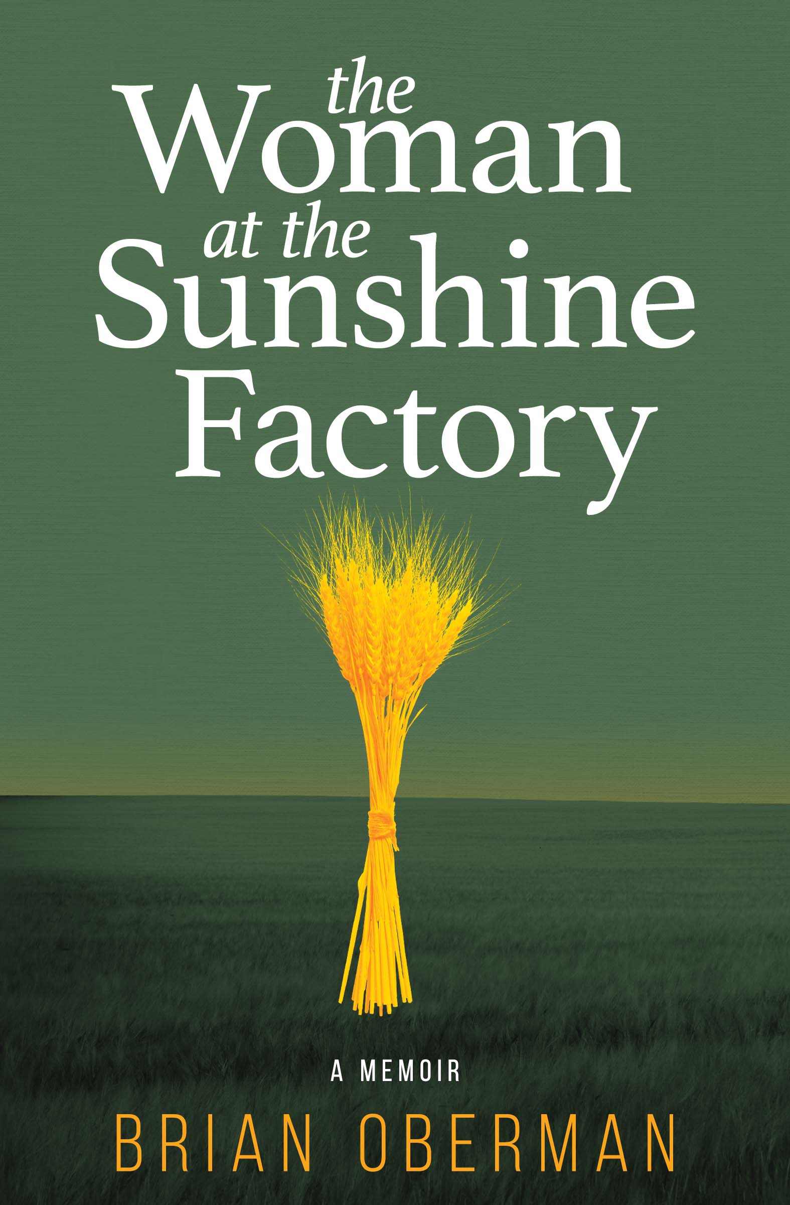 Book cover for The Woman at the Sunshine Factory by Brian Oberman